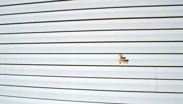 Affordable siding repair and maintenance services in Eastport, ME